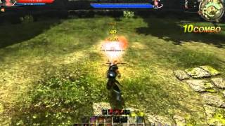 Continent of the Ninth Seal ( c9 ) 29 hit combo level 28