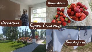 Как вывести пятна с одежды / Генеральная уборка в предбаннике / Начала поспевать клубника / Посылка