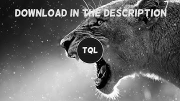 [After Effects] DSG DubstepGutter Visualizer Template