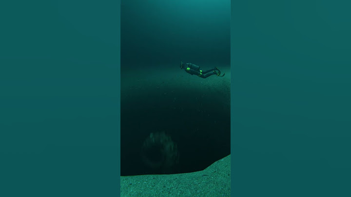 What If Kraken Existed ?