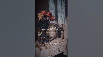 سورة الزمر | آية 53 | فضيلة الشيخ عبد الباسط عبد الصمد