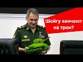 Трансфер власти: силовики готовят Шойгу на место президента?