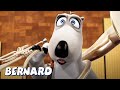 Бернард Медведь | Бернар занимается музыкой! И БОЛЬШЕ | Мультфильмы для детей | Полные эпизоды