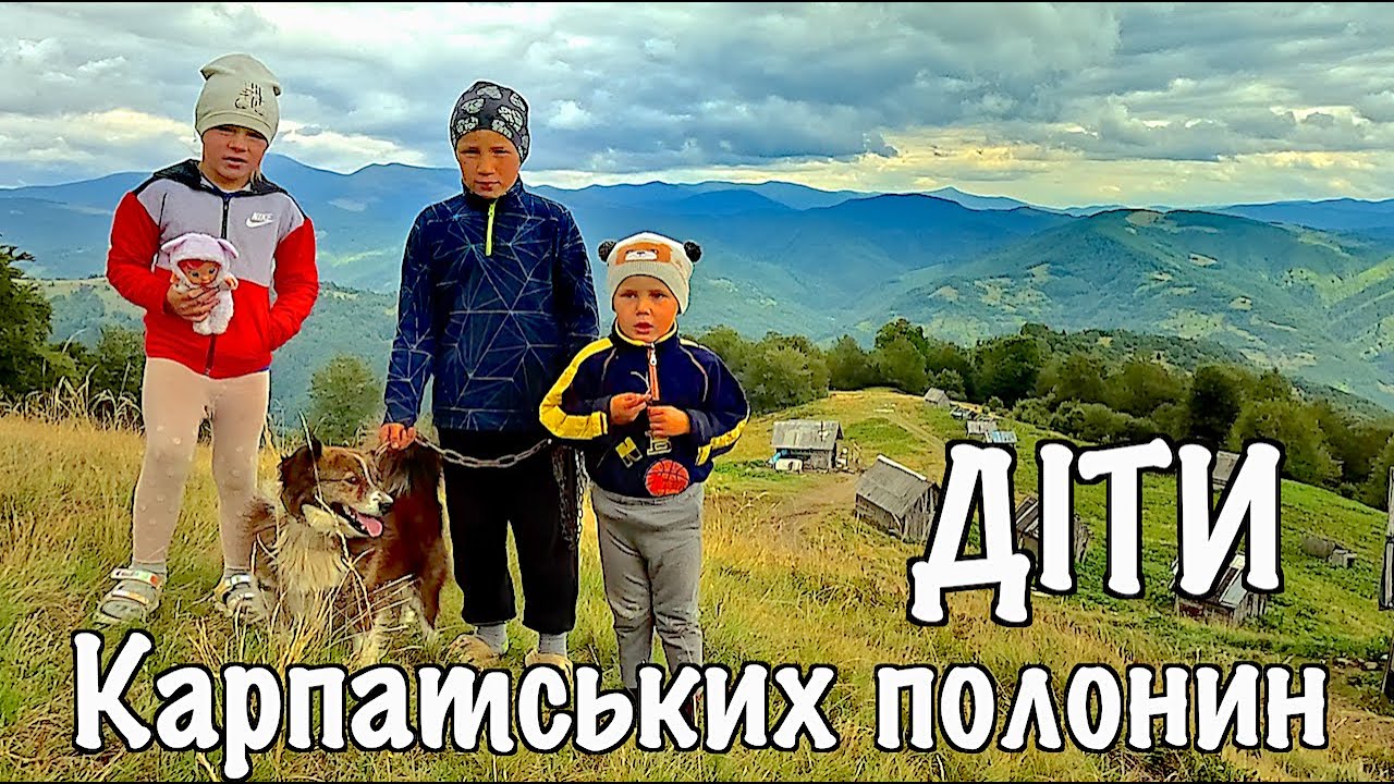 Як самотньо живе на полонині Люба і її троє чудових діточок. А ви змогли би так? Карпати.