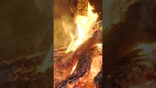 Steven Rinella Roasts a Moose Femur