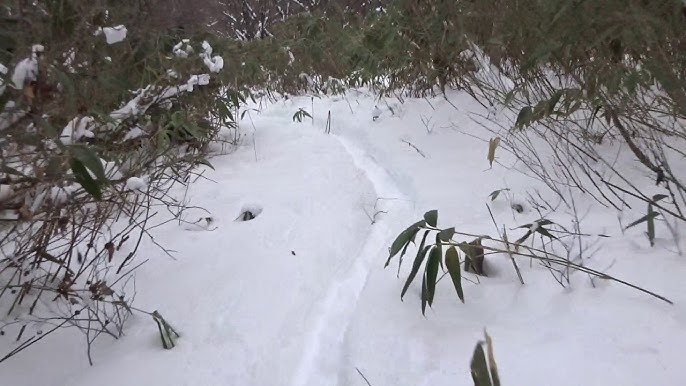 吾妻 連峰 雪山 遭難