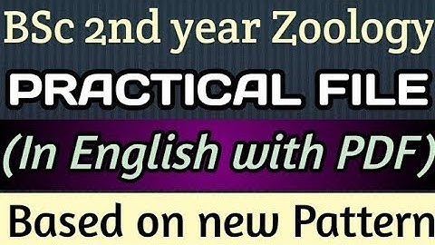 ||BSC PART2||PRACTICAL COPY📒||ZOOLOGY HONS|| FOR ALL UNIVERSITY||LNMU/
