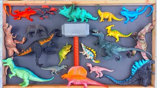 Hunting found jurassic world evolution 2: Ankylosaurus, stegosaurus, carnotaurus, vastatosaurus,trex