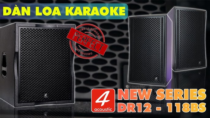 Cách Chọn Mua Loa Karaoke Phù Hợp