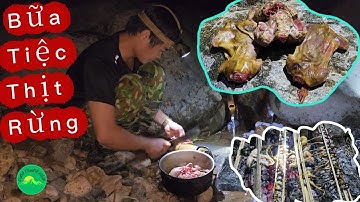 Săn Ong Cuối Mùa - Bữa Tiệc Thịt Rừng