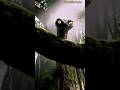 “Serpent Ambush | When Early Humans Fought to Survive” #diversifiedtales