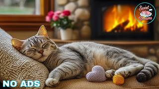 12 Hours Cat Relaxing Music ✨ Cat’s Favorite Music - Peaceful Audio For Cats Stress Relief screenshot 2