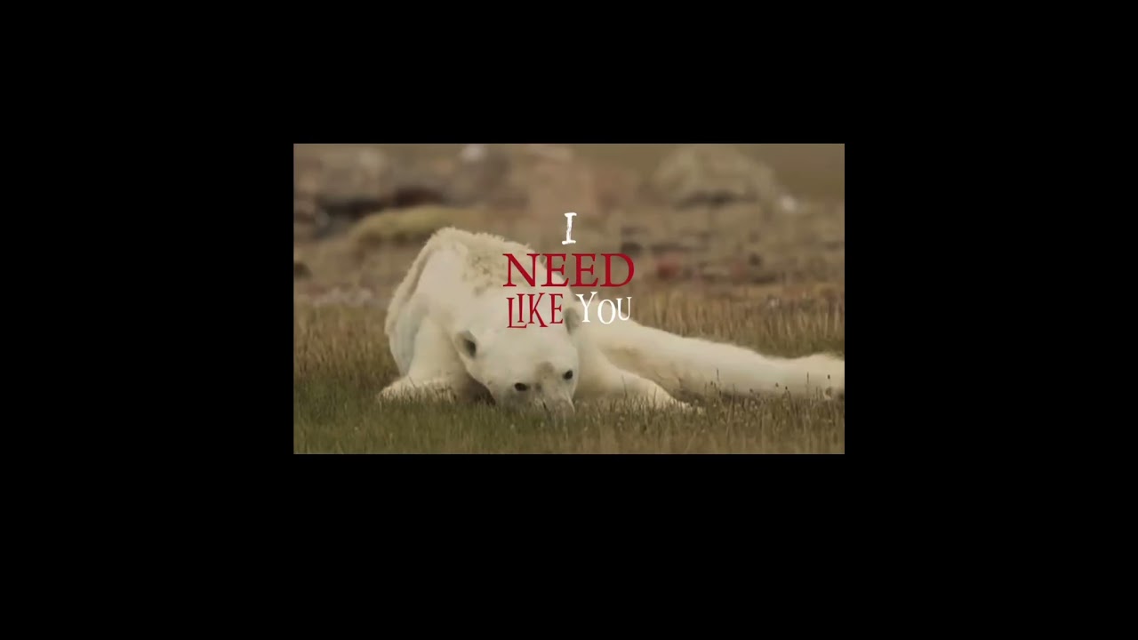 Stop using ai, lets save the ice bears 