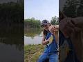 STICK FISHING! #pondfishing #fishingvideo #arkansas #shorts #short #survival
