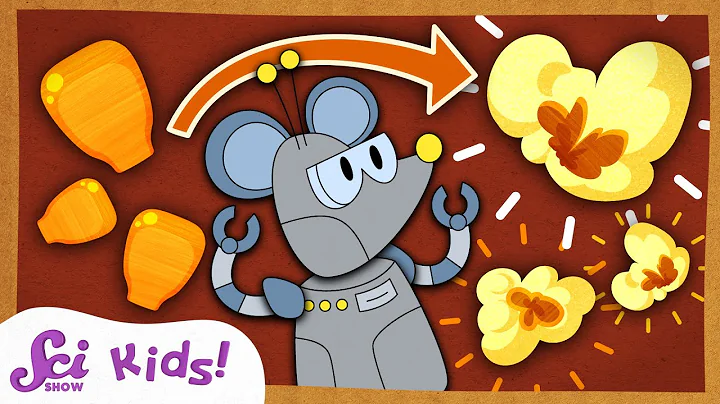 Why Does Popcorn Pop? | The Science of Food! | SciShow Kids