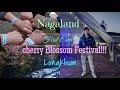 Nagaland First Ever Cherry Blossom Festival| Longkhum Village| Mokokchung| Feat Various Artists.