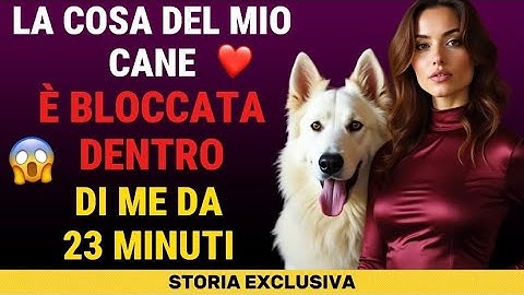 Ogni volta che mio marito parte, il mio cane sa esattamente di cosa ho bisogno.