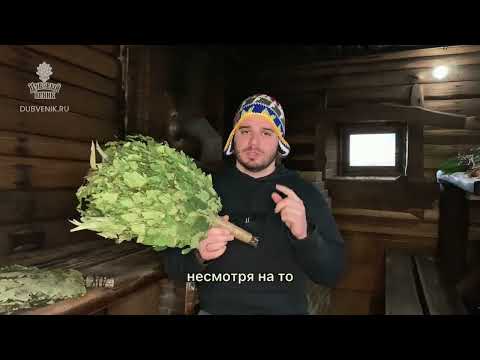 Чем отличается ПРЕМИУМ веник от обычного?
