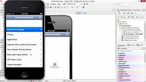 Sneak Peek of Delphi XE5 Android DataSnap