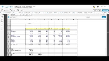 How to View Documents in Their Native Format