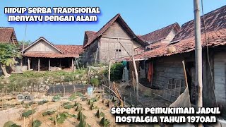 Masih Banyak Rumah Klasik Kuno Otentik Khas Suku Jawa "Adem Ayem & Tentram" The Real Kampung Halaman