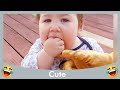 Top Funny Baby Playing With Animal Complilation