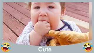 Top Funny Baby Playing With Animal Complilation