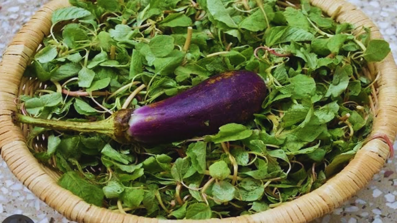 নিরামিষ দিনে এইভাবে এক বার নোটে শাক রান্না করে দেখুন স্বাদ ভুলতে পারবেন না ॥পুনকা শাকের রেসিপি ॥