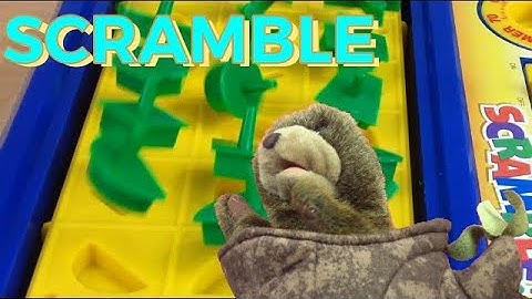 Perfection! Double Perfection (SCRAMBLE) - we