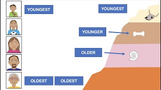 similitudes de datation relative et absolue