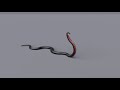 Animated Red Bellied black snake Preview