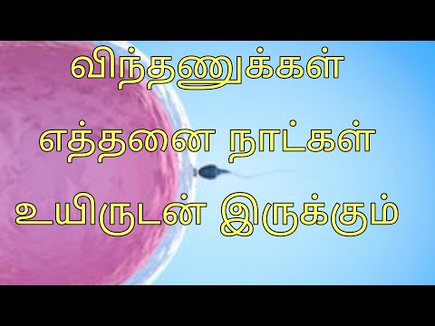 விந்தணுக்கள் எத்தனை நாட்கள் உயிருடன் இருக்கும். vindhanu ethanai natkal urutan irukum..in Tamil...