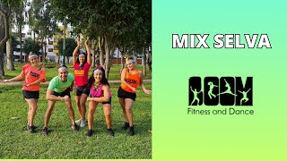 Mix Selva Anaconda y Danza de la Alegría/ coreografía BOOM fitness and dance