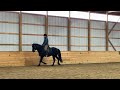 Working Equitation