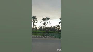 تلاوه خاشعه بصوت الشيخ محمد الفقيه #اليمن #صتعاء # السعوديه جازان #
