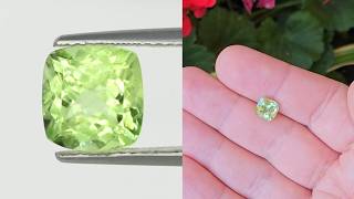 Square cushin cut Peridot from Pakistan - 2.81 carats