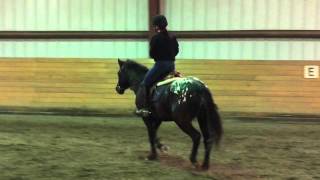 Misty II Flatwork 3/14