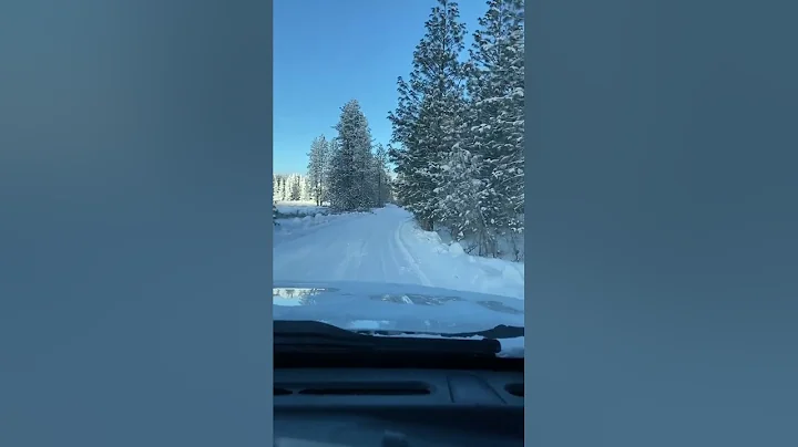 The drive into our winter wonderland property from...
