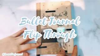 Bullet Journal Flip Through 2019