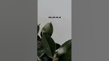 ثُـلث القرآن 🤍. #اكسبلور #ماهر_المعيقلي #سورة_الإخلاص #ثلث_القران