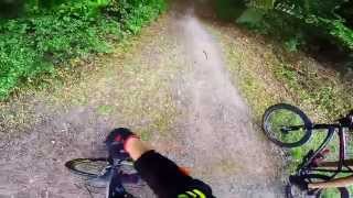 Mtb (Home)-Trail Regensburg