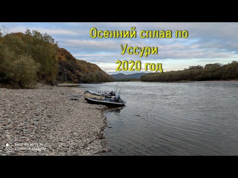 Video: Уссури алмурут