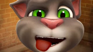 New Cat Game Video \/\/ Funny Game Video \/\/  Cute Cat