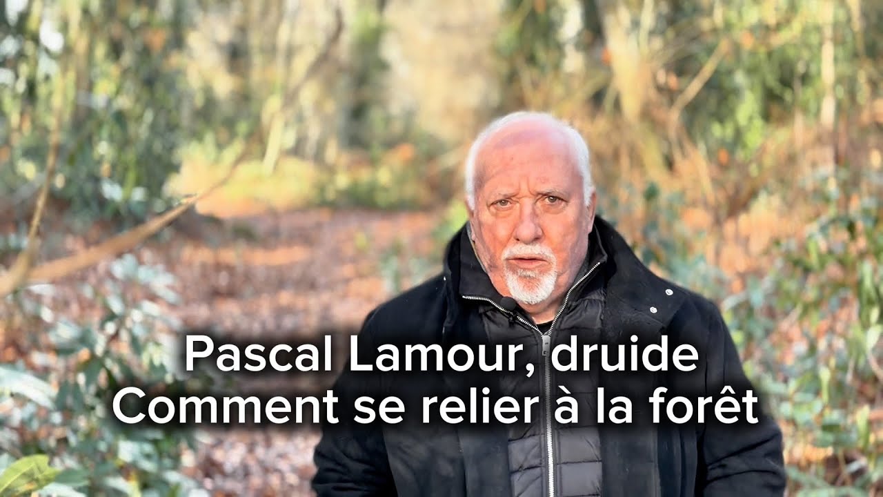 Pascal Lamour, druide - Comment se relier à la forêt 