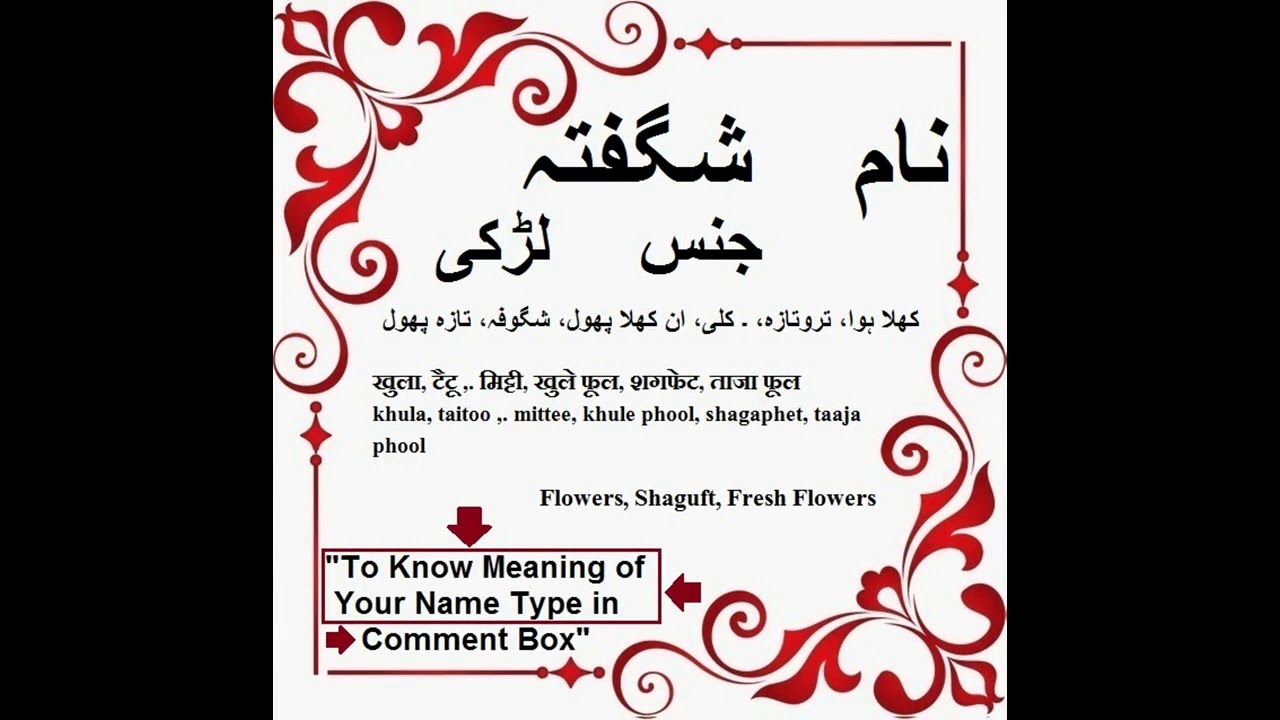 translate in urdu dating tauranga dating service