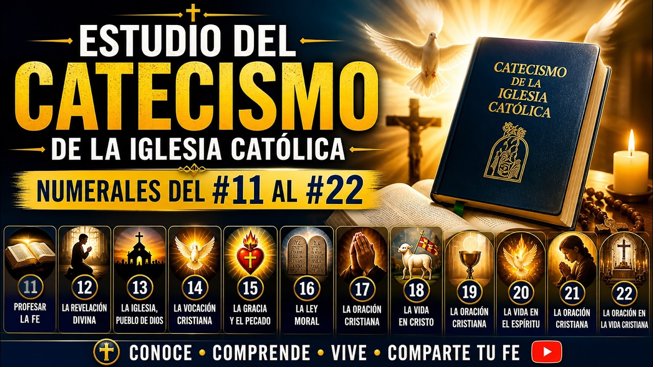 Catecismo de la Iglesia Católica | del 11 al 22 EXPLICADO | Los 4 ...