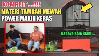 Cendet Istimewa Coba Perhatikan Caranya Berkicau