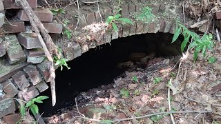 Industrial Sites taken over by Nature after Cataclysmic Destruction