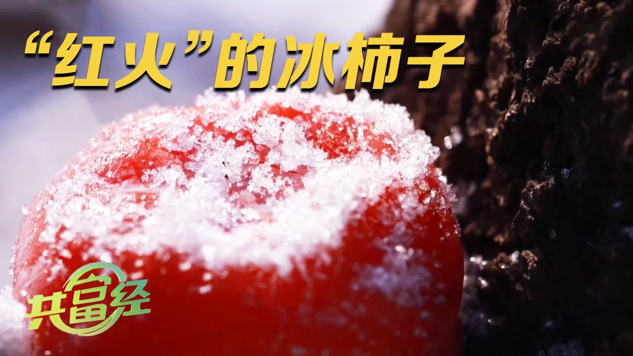 能卖25元一个的冰柿子究竟有何玄机?口感像冰沙,味道比冰淇淋还好!难怪食客嘴里冻的哇哇叫也停不下来!|「共富经」20240115 - YouTube