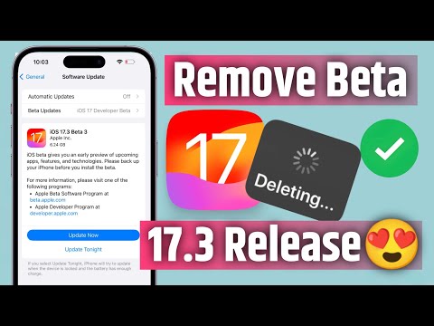 How To Remove Beta Version From iPhone ios 17 